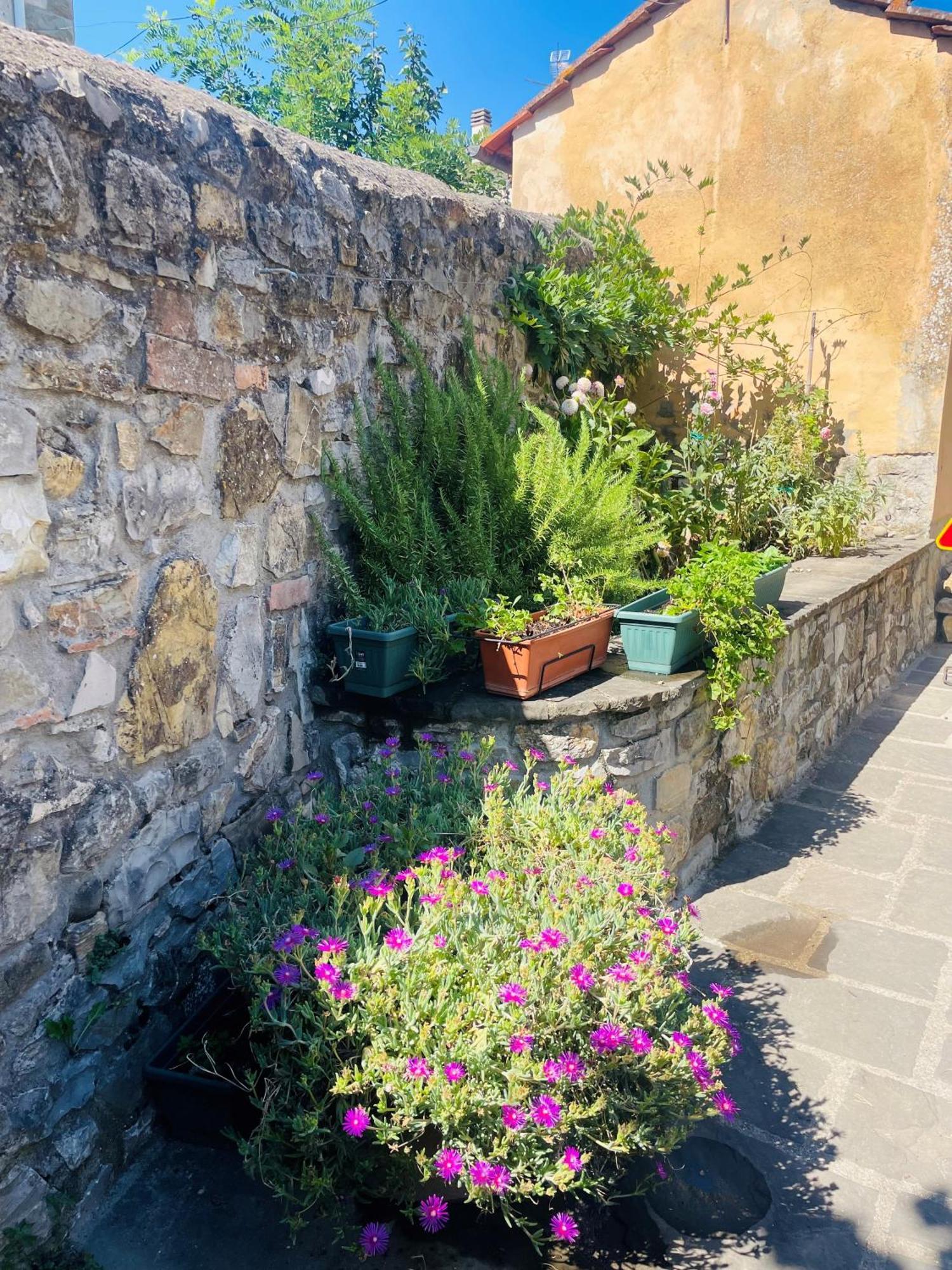 “Da Paolino” Villa Borgo alla Collina Exteriör bild